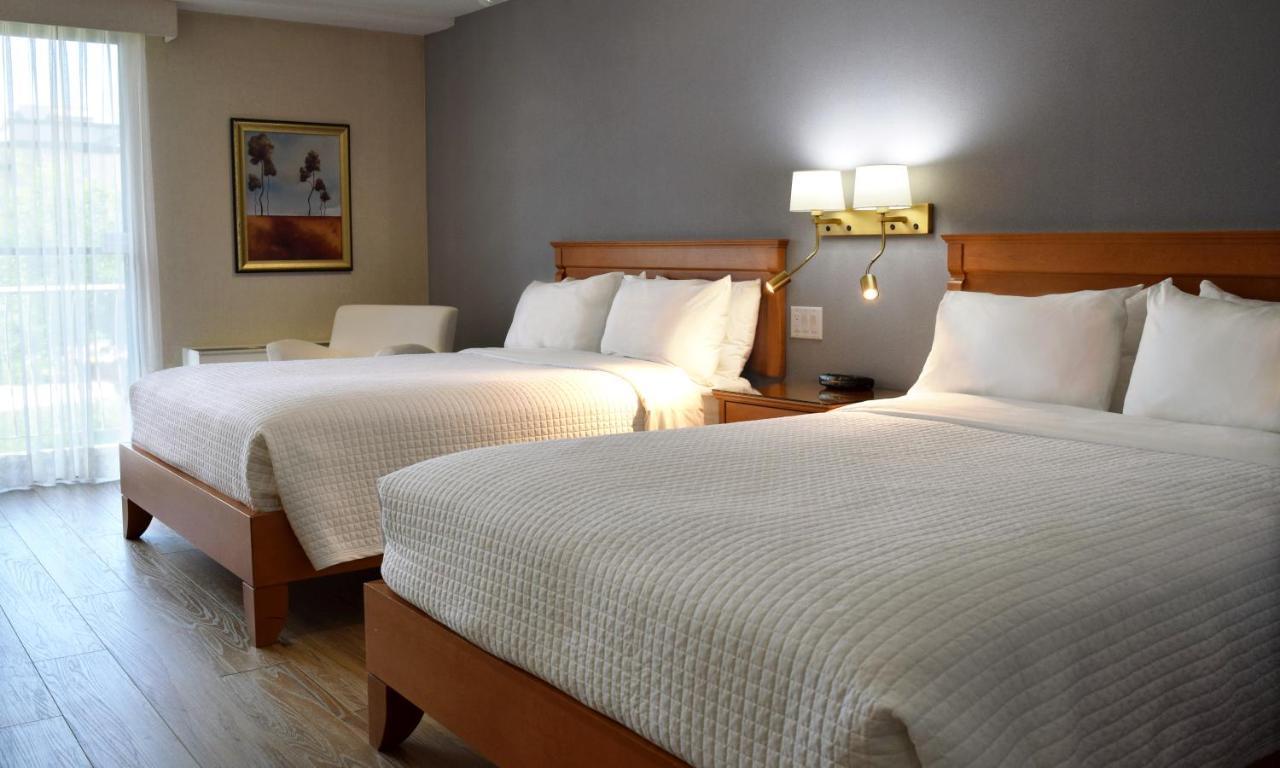 Garden side room 2 Queen-size beds wooden floor
